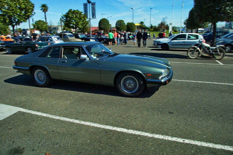 Jaguar XJS-Nino.jpg